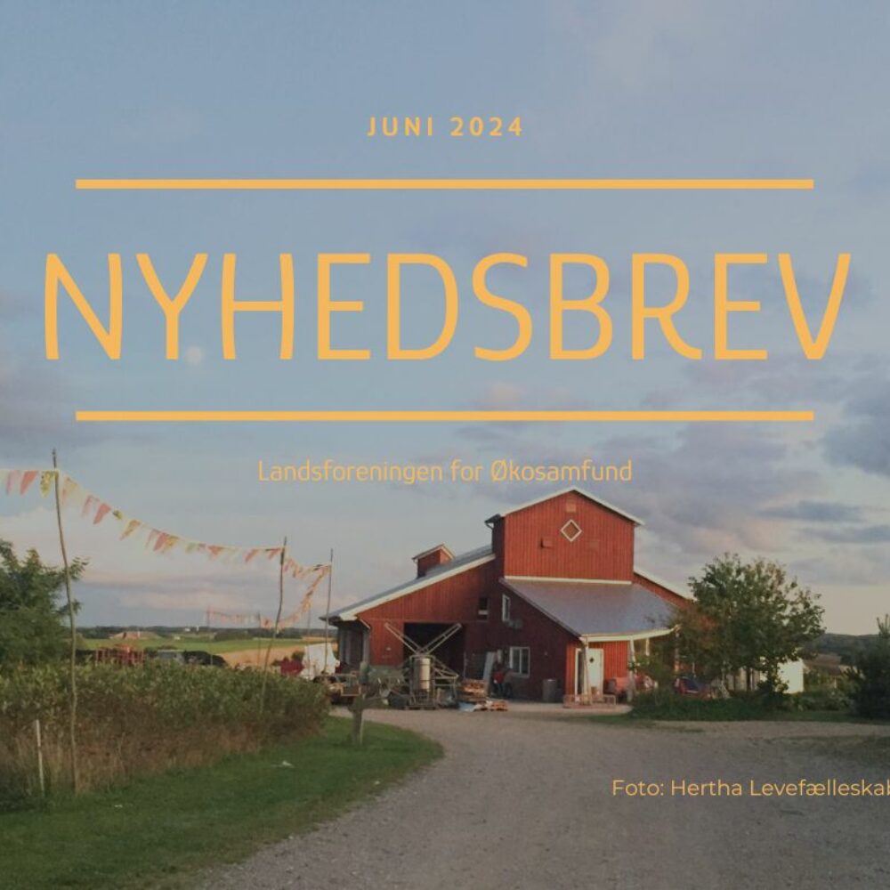 Nyhedsbrev juni 2024