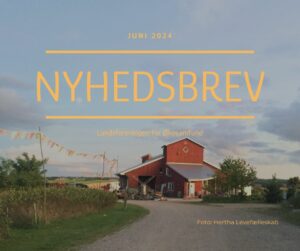 Read more about the article Nyhedsbrev juni 2024