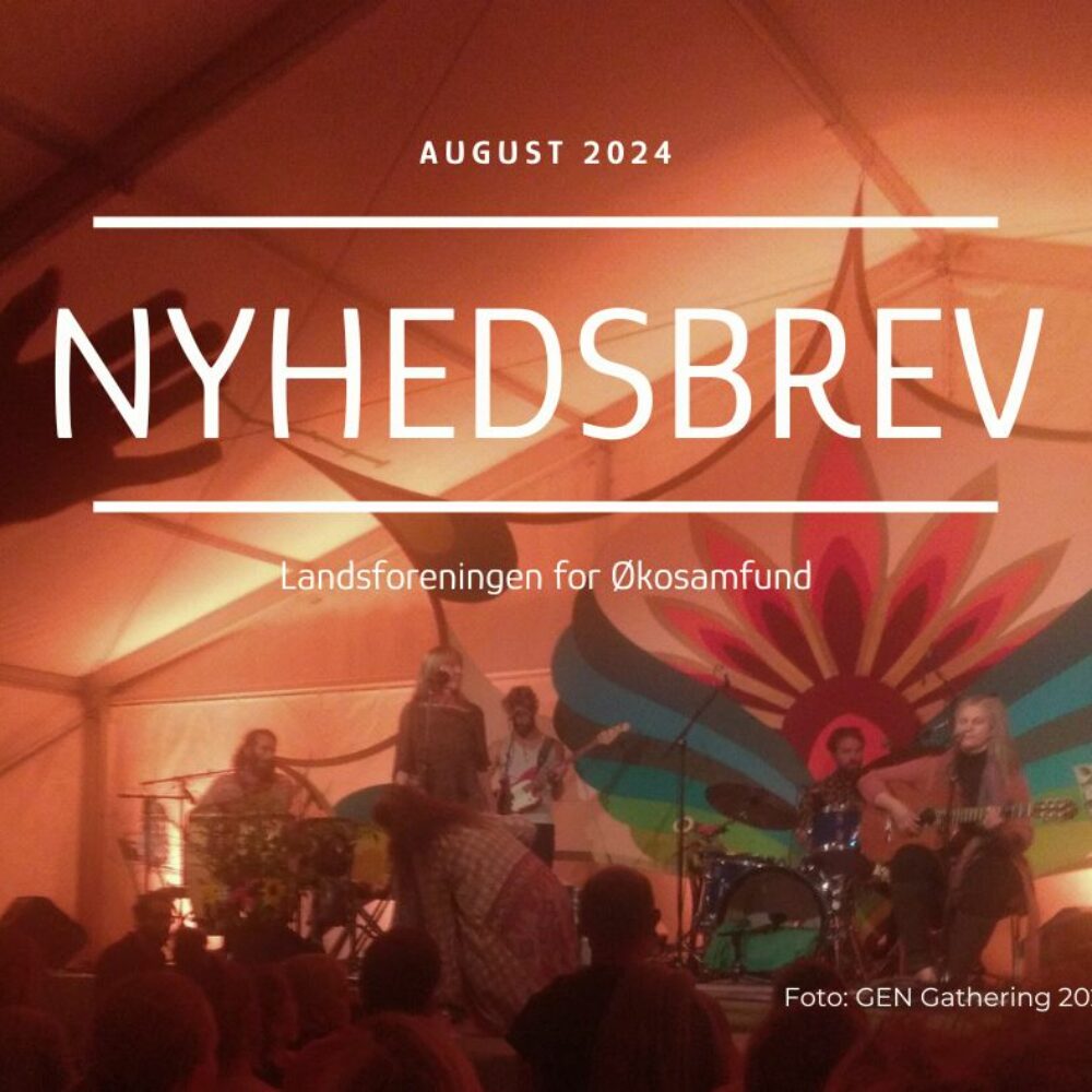 NYHEDSBREV AUGUST 2024