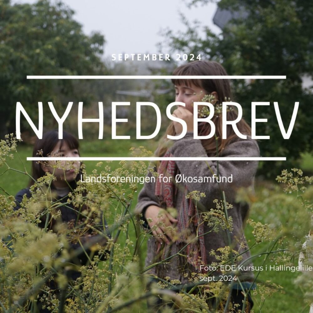 NYHEDSBREV SEPTEMBER 2024