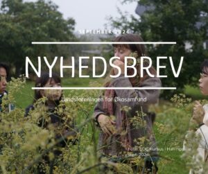 Read more about the article NYHEDSBREV SEPTEMBER 2024