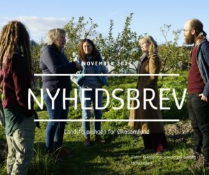 Read more about the article NYHEDSBREV NOVEMBER 2024