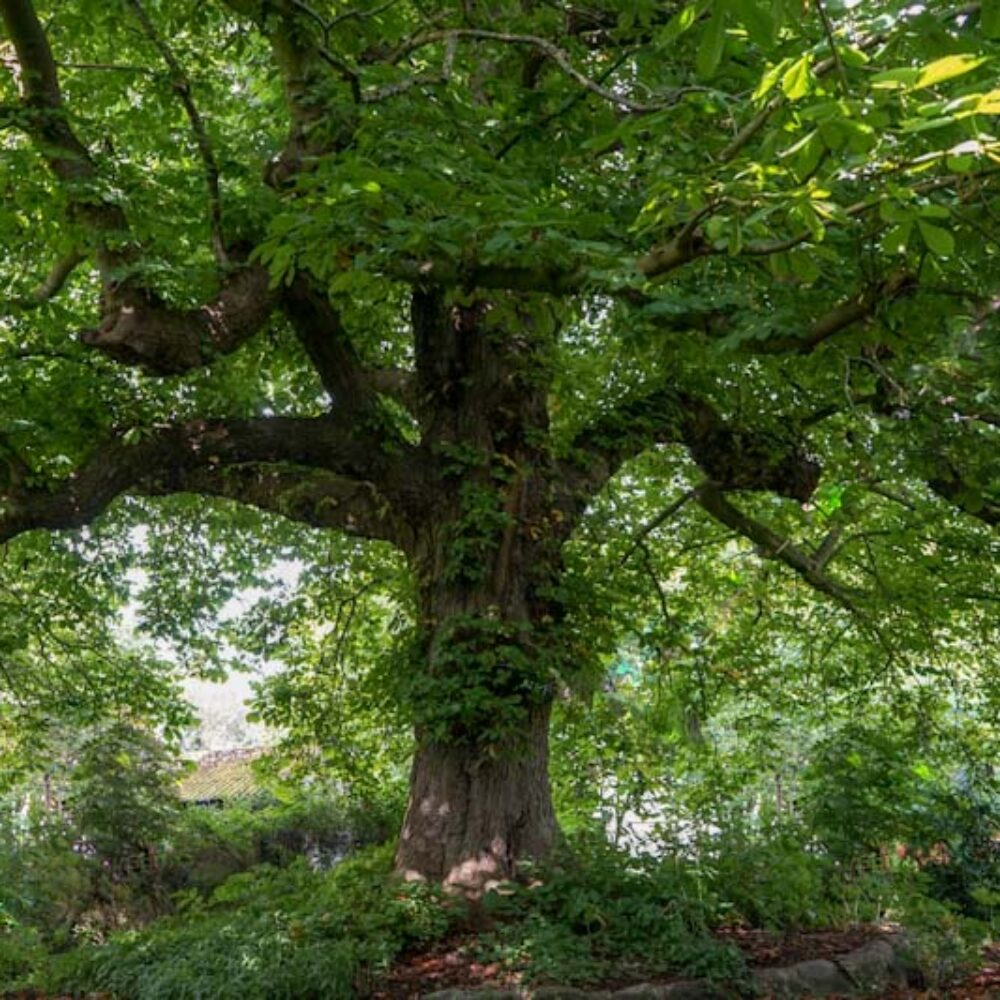 Seminar i LØS – at sætte sig selv i spil med klarhed og skaberkraft